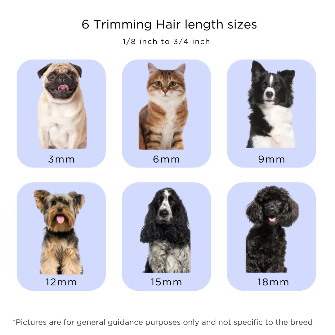 Grooming Kit for Dogs & Cats, with Vacuum, Removes up to 99% of Fur, Brushes, Clippers, for Shedding, Low noise, Adjustable Spee