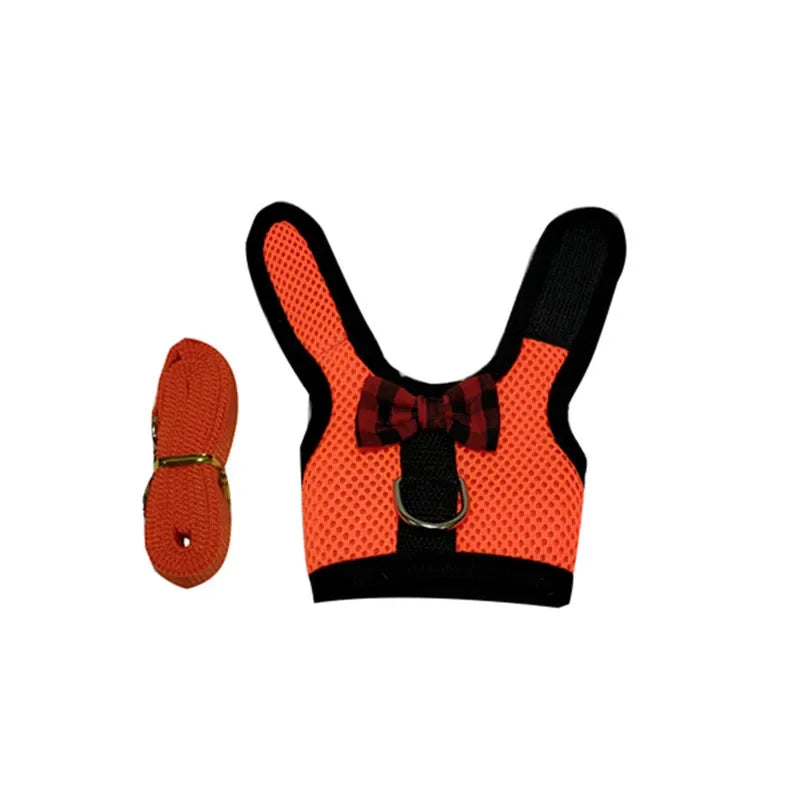 Small Animal Outdoor Walking Harness and Leash Set