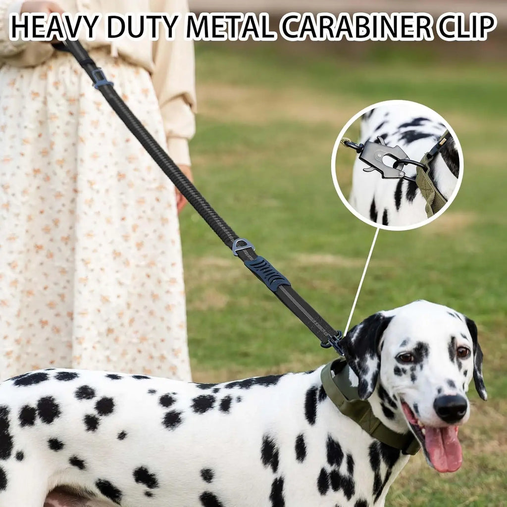 Reflective Shock Absorbing Pet Leashes with Car Seatbelt for Large Dogs