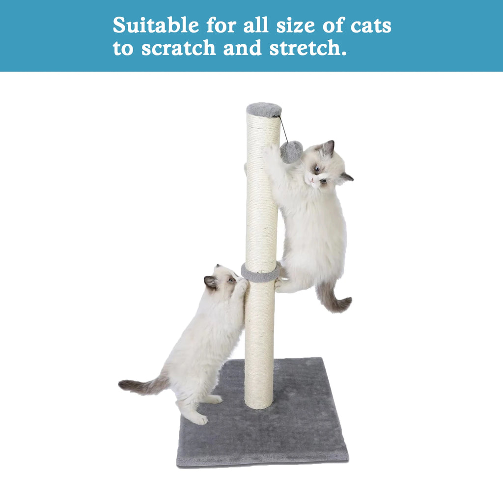 Tall Cat Scratching Posts For Indoor Cats And Kittens With Dangling Ball
