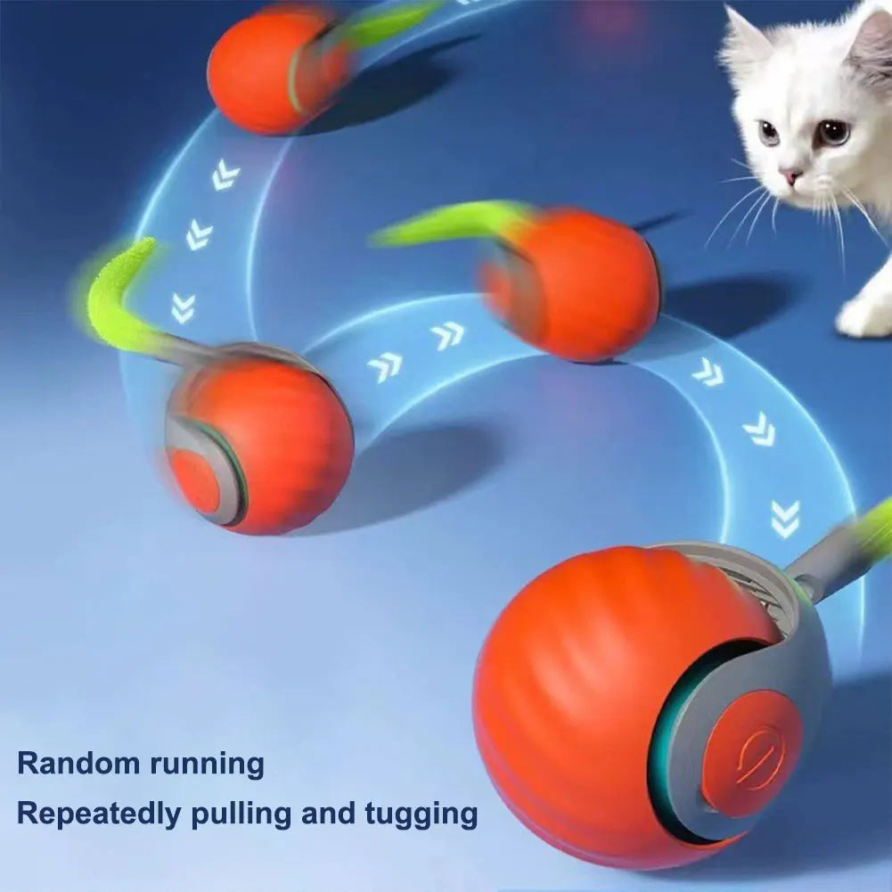 Automatic Moving Cat Toy Ball. Smart Cat Toys. USB Rechargeable.