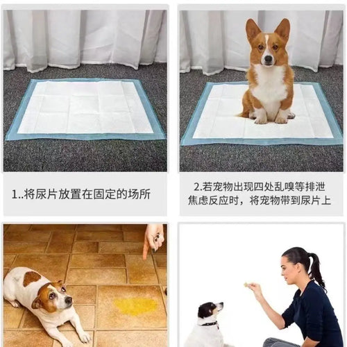 100/50/40/20PCS Absorbent Dogs Diapers Disposable Puppy Training Pee Pads