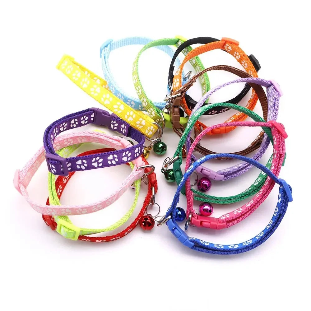 Dog Print or Cat Print Leash
