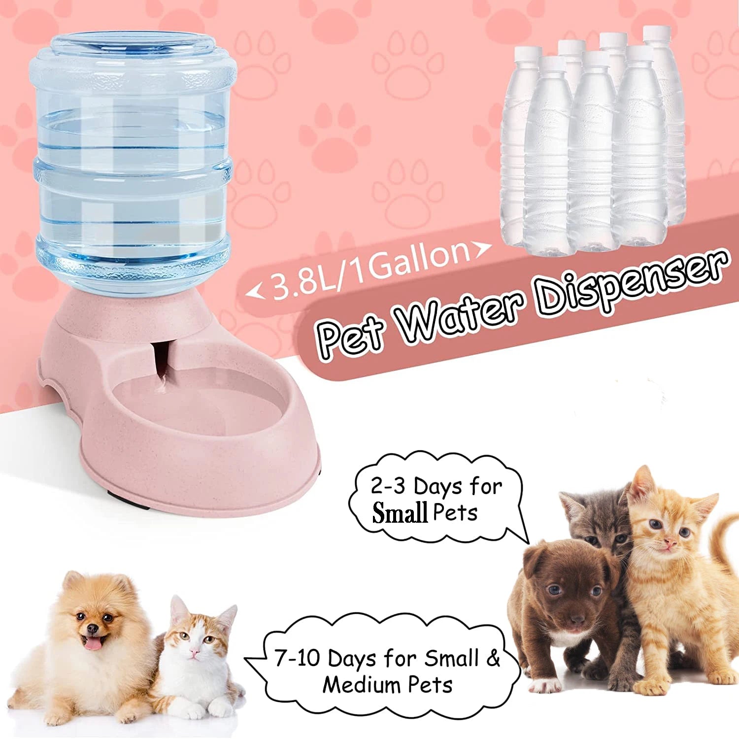 Automatic Water Dispenser Large Capacity Pet Feeder