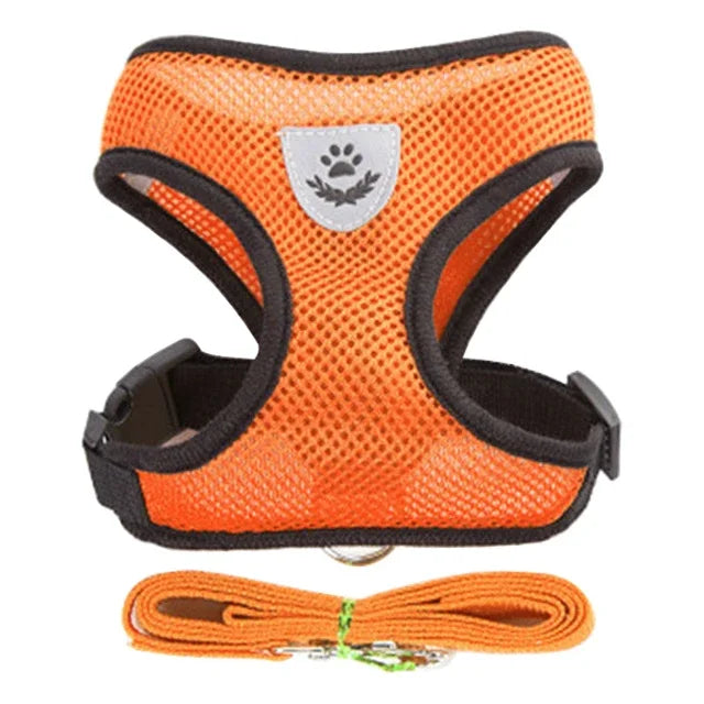 Cat Harness Vest with Walking Lead