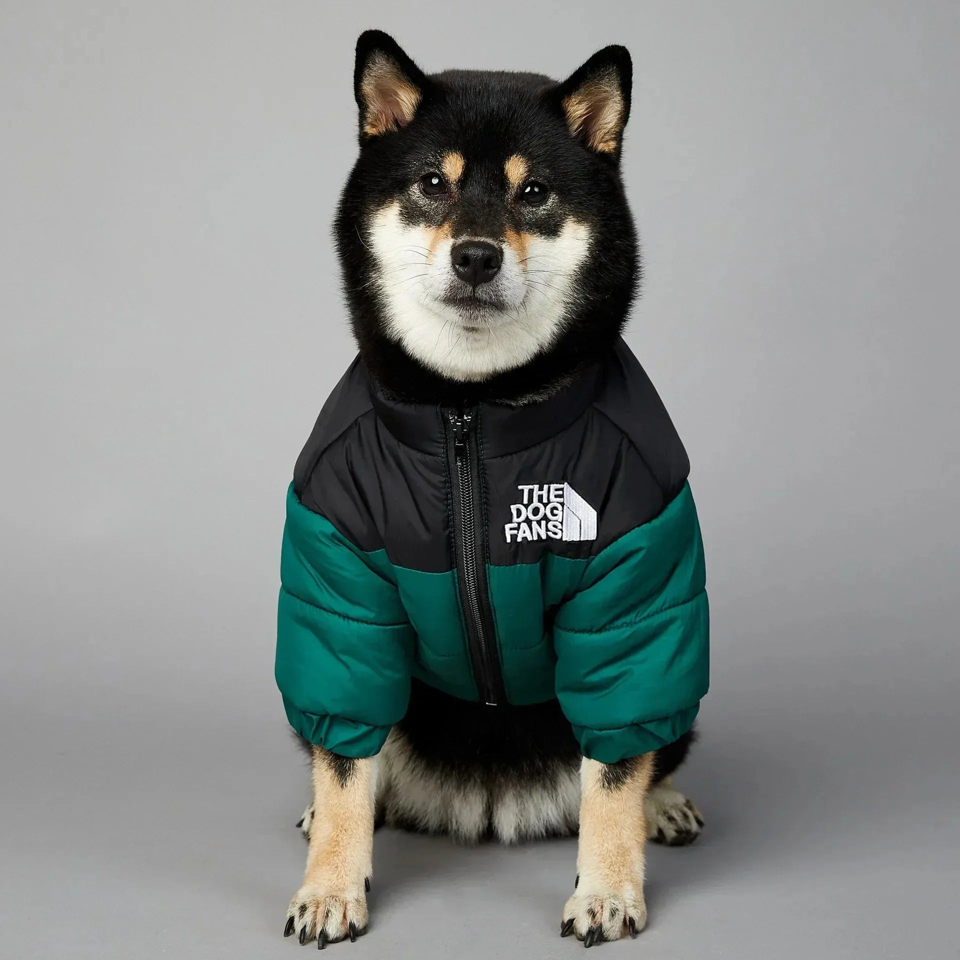 Winter Down Jacket for Small & Medium Dogs