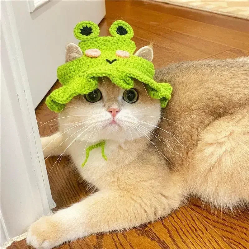 Cute Refined Knitted Cat Hat