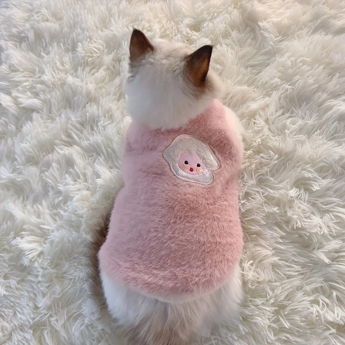 Warm Kitten and Cat Clothes