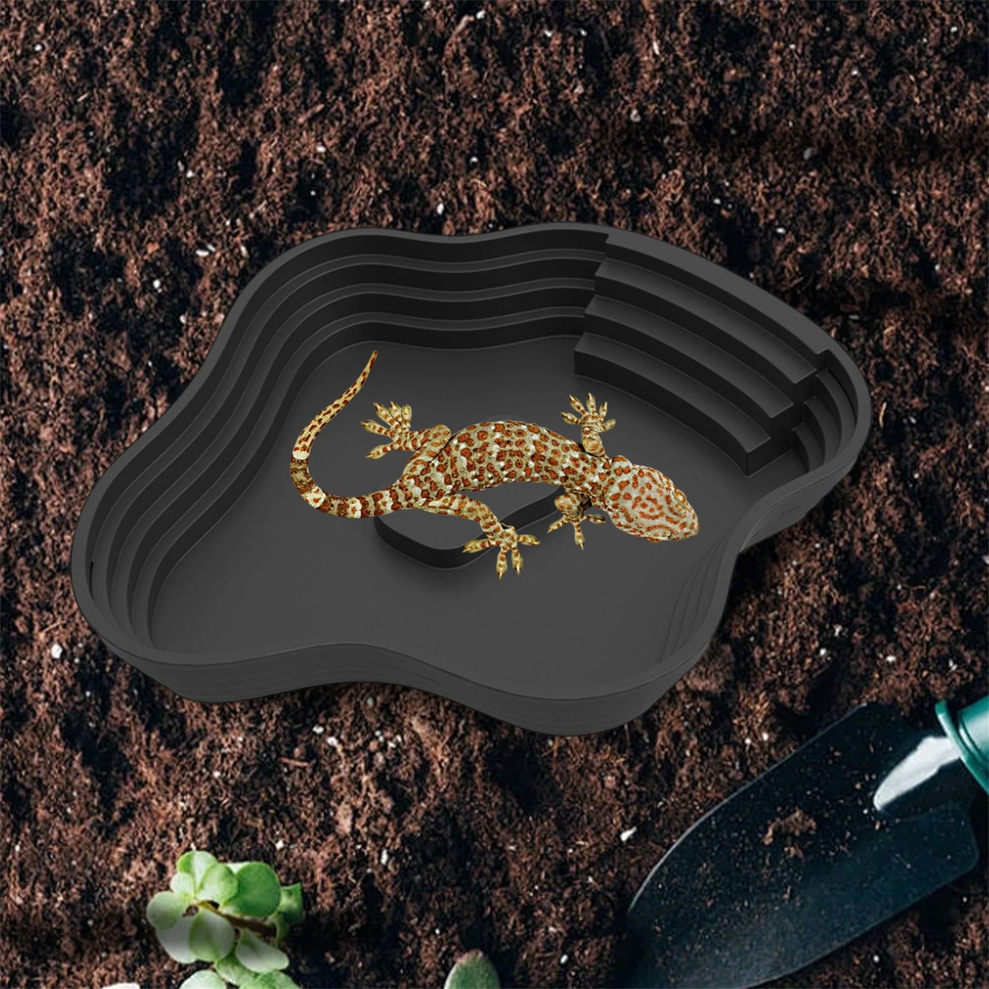Reptile Habitat Decor Bathing Pool, Feeding Dish or Water Bowl
