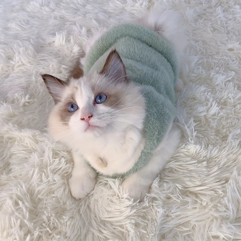 Warm Kitten and Cat Clothes