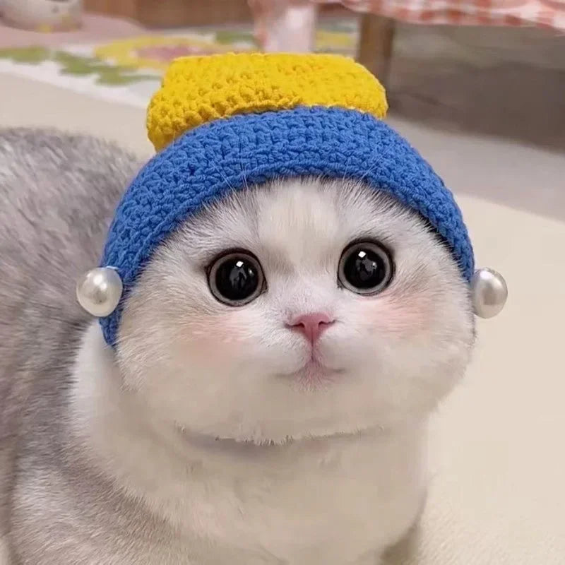 Cute Refined Knitted Cat Hat