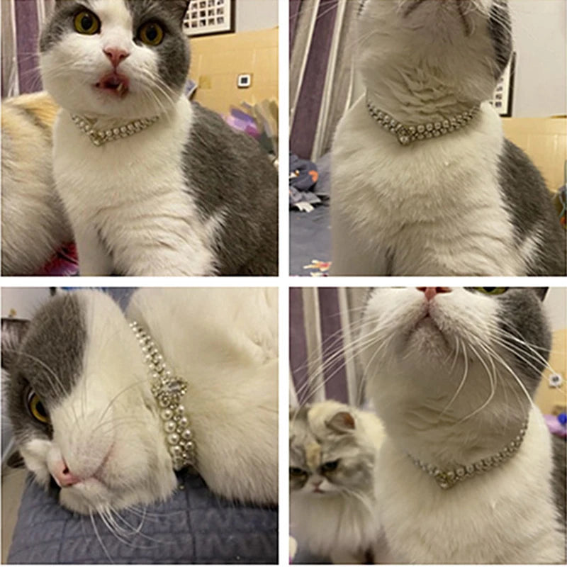 Luxury Cat Pearl Necklace with Rhinestone