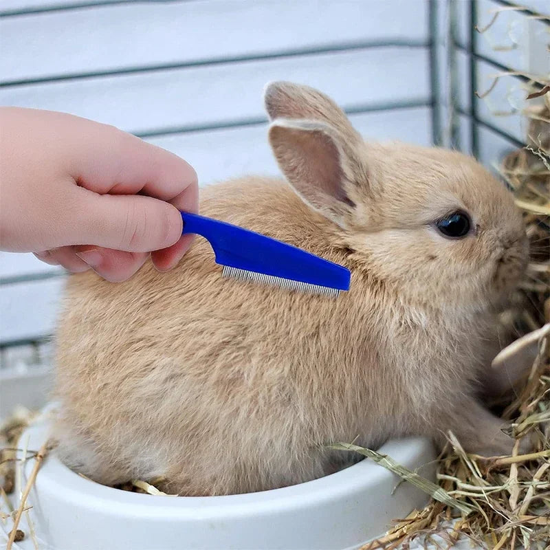 Rabbit Grooming Kit