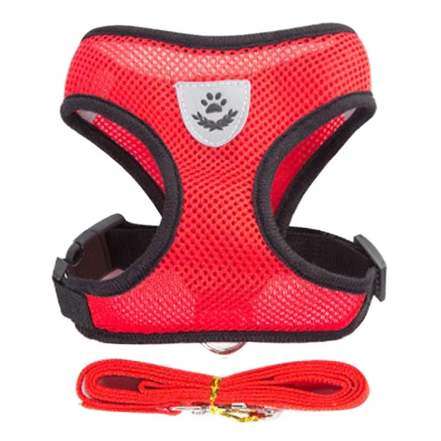 Cat Harness Vest with Walking Lead