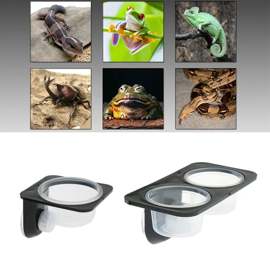 Reptiles & Amphibians Suction Cup Feed and Water Bowl