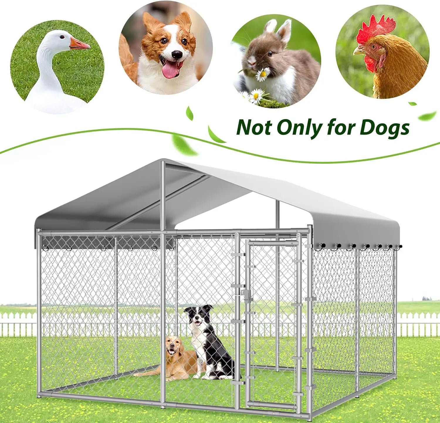 Extra Large 10x10x6.56ft Outdoor Dog Kennel with Roof, Anti-Rust Galvanized Chain Link Enclosure and Secure Lock