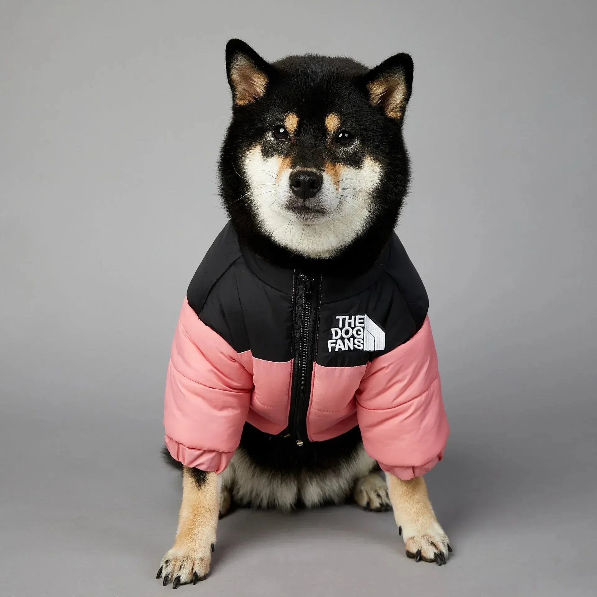 Winter Down Jacket for Small & Medium Dogs