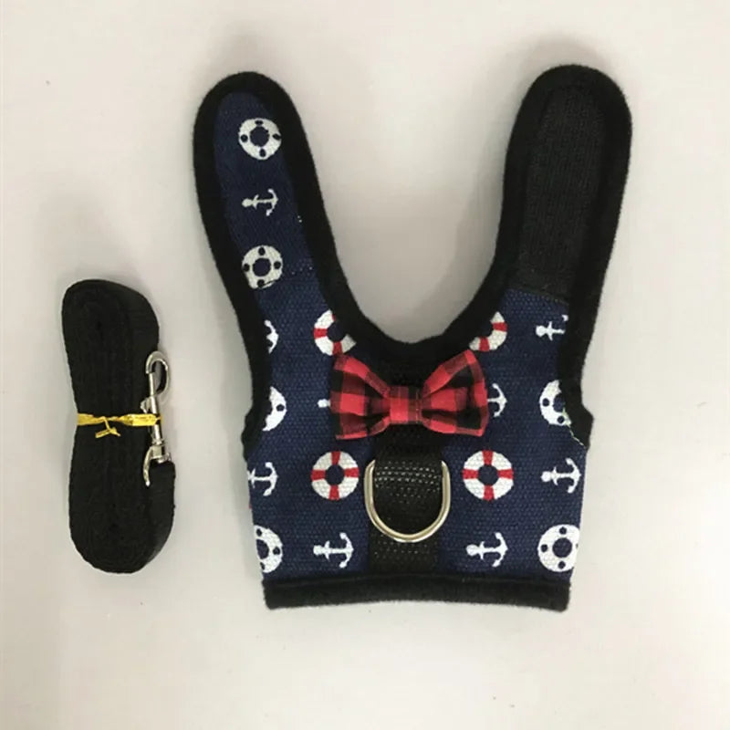 Small Animal Outdoor Walking Harness and Leash Set