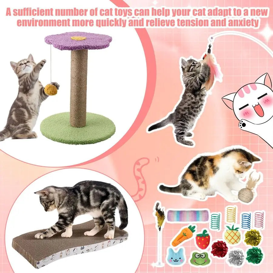 Kitten Starter Kit for Indoor Cats Include Cat Litter Box Toys, Hammock, Bed Scratch Pad, Climbing Post, Feed Bowls, Mat
