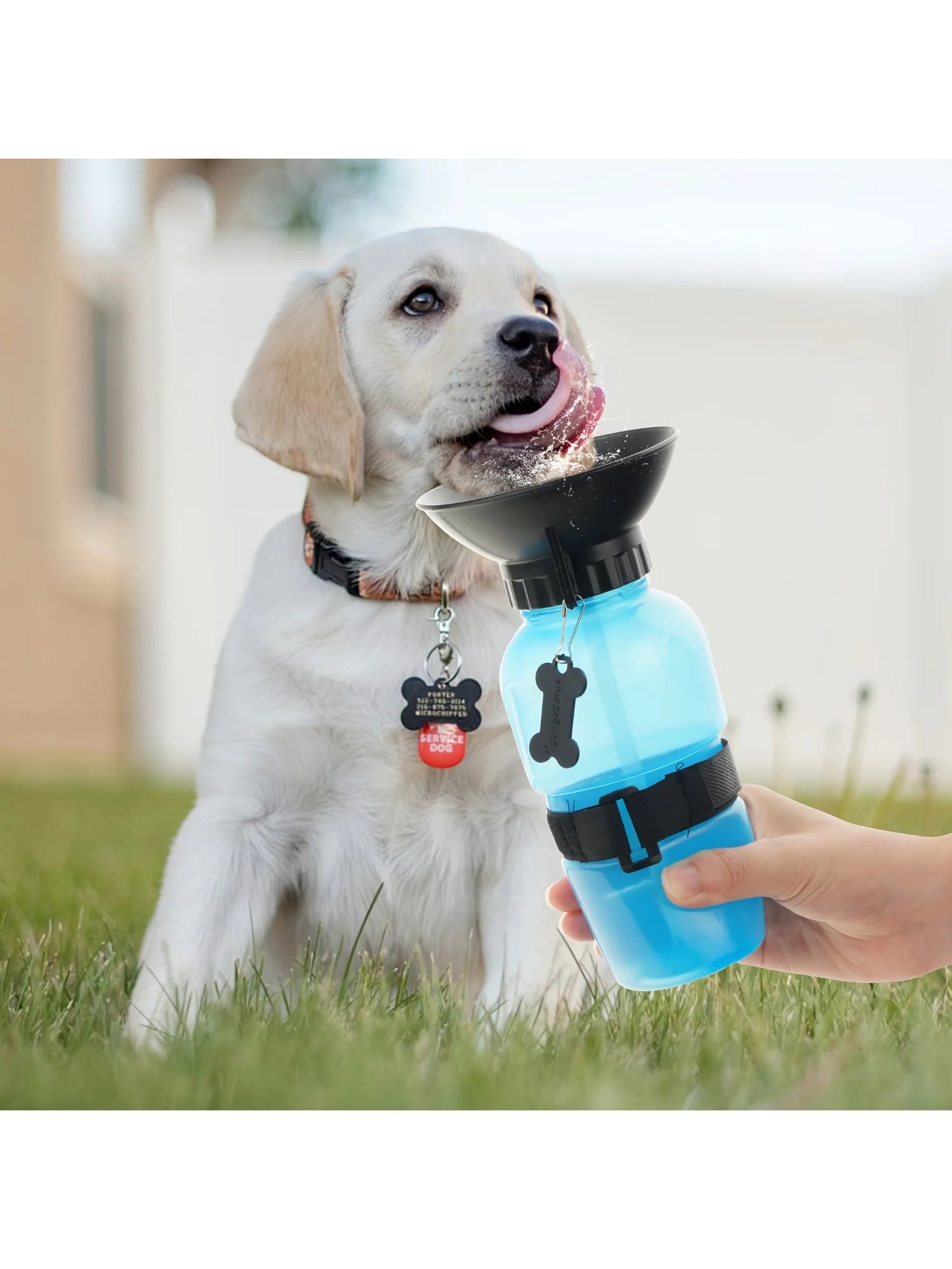Portable Travel Water Bottle Dispenser For Dogs - Cats