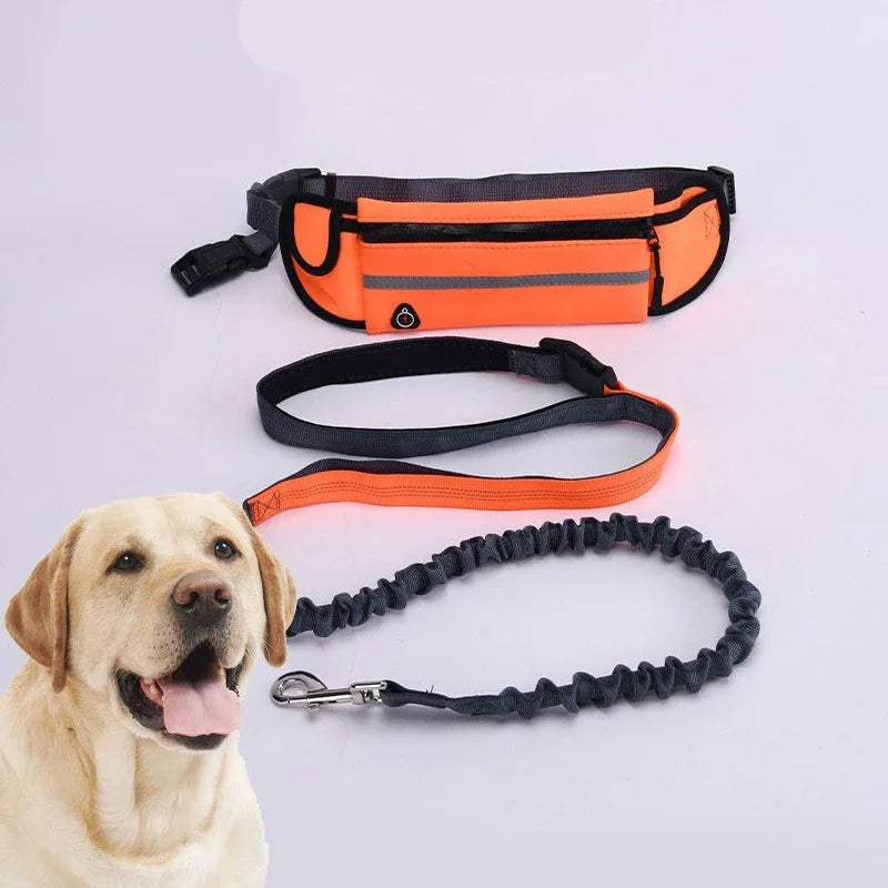 Hands Free Dog Leash for Running Walking. Reflective Leash with Waist Bag. Retractable Elastic Belt.