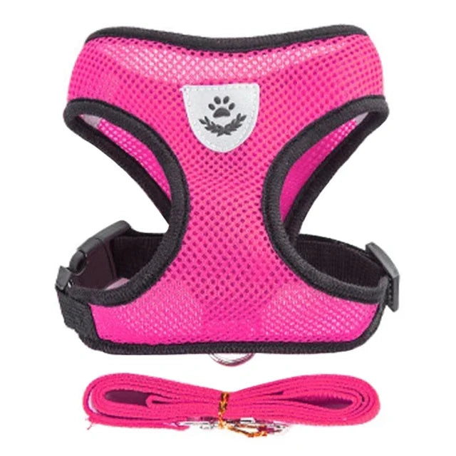 Cat Harness Vest with Walking Lead