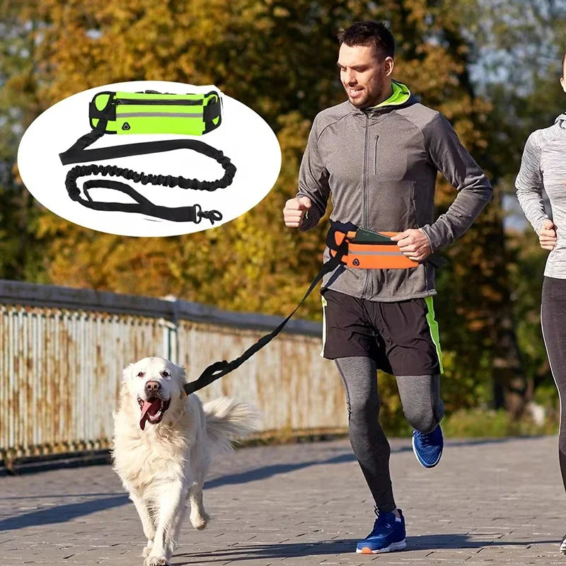 Hands Free Dog Leash for Running Walking. Reflective Leash with Waist Bag. Retractable Elastic Belt.