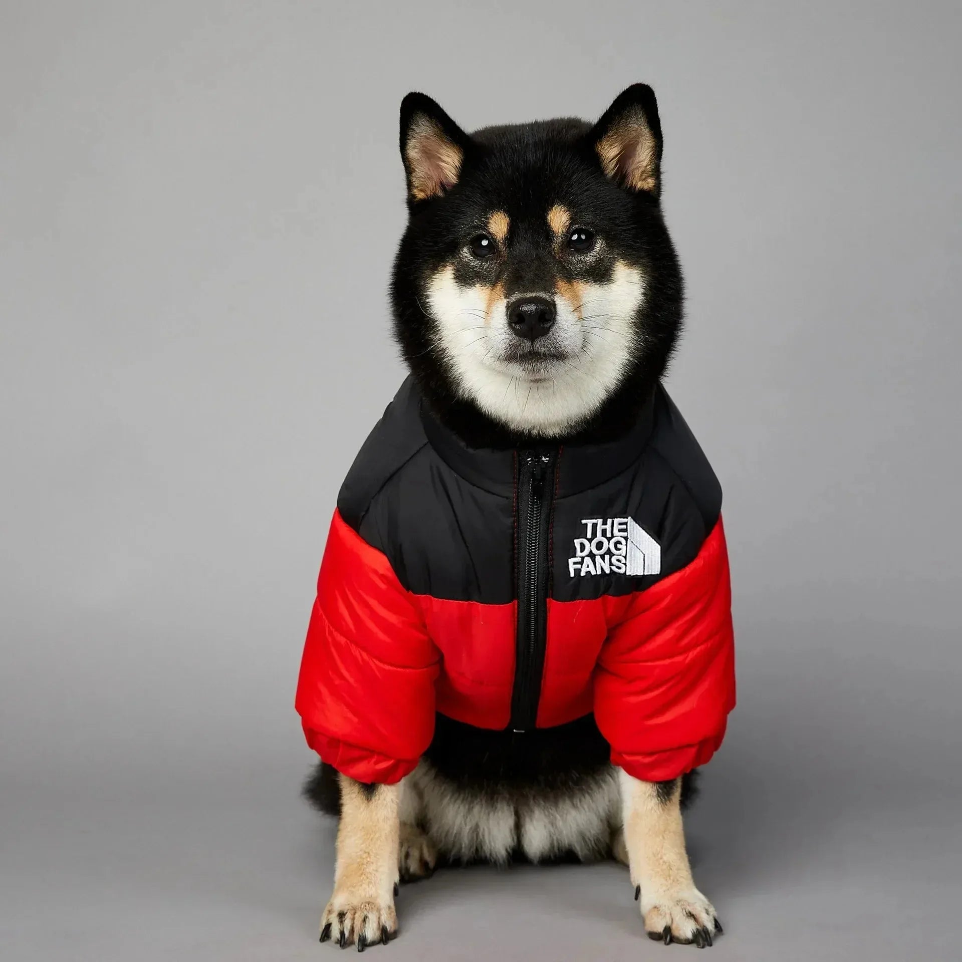 Winter Down Jacket for Small & Medium Dogs
