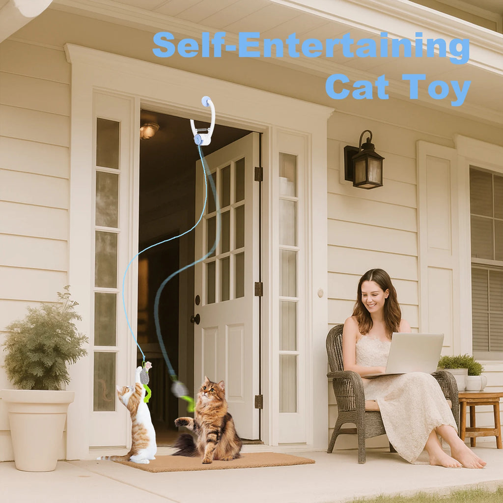Electric Door Hanging Cat Toy. Interactive Cat Toy. USB Rechargeable Self Play Toy
