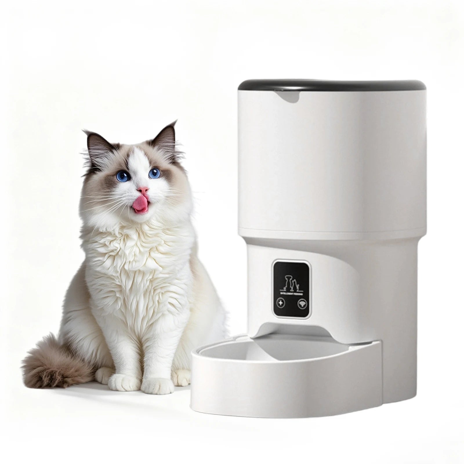 Programmable 4L Automatic Pet Feeder for Small Dogs and Cats. Up to 6 Meals Daily
