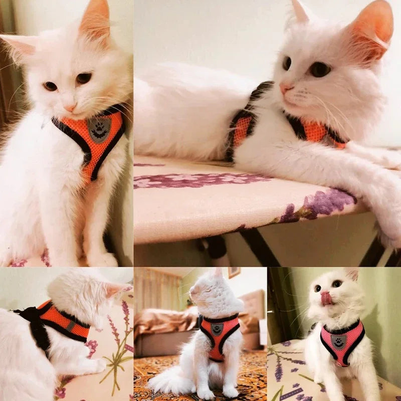 Cat Harness Vest with Walking Lead