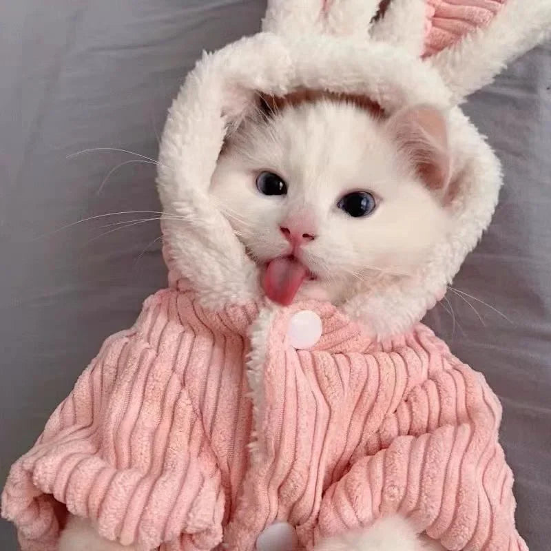 Kittens Or Puppy's Cute Coat