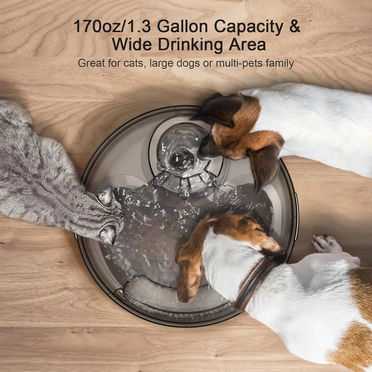 Dog Water Fountain, 170oz/1.3Gallon/5L Large Automatic Pet Water Dispenser