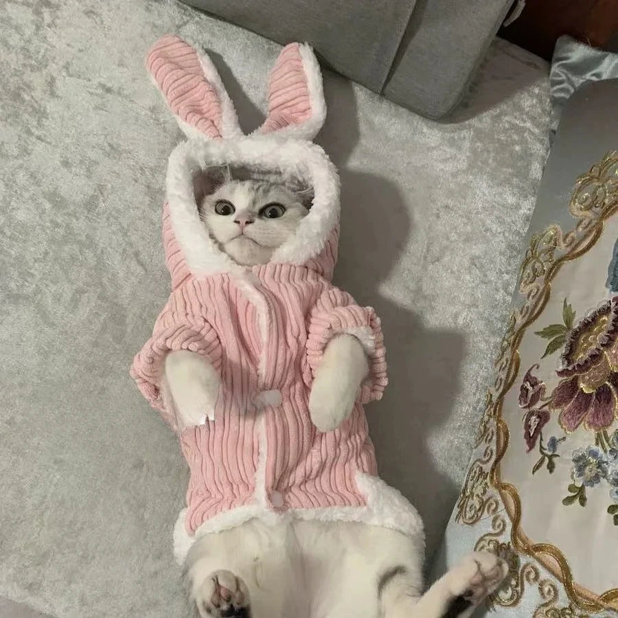 Kittens Or Puppy's Cute Coat