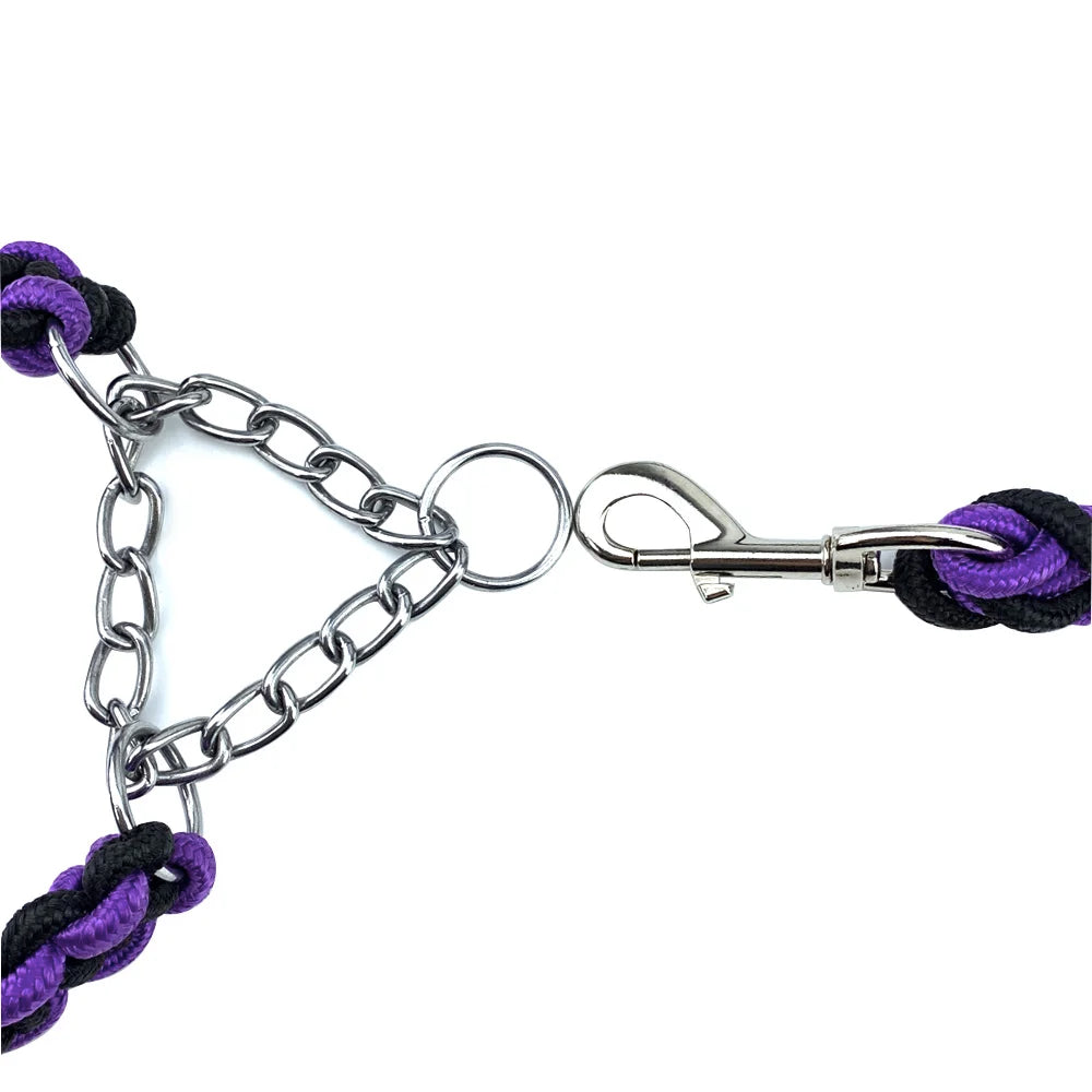 Nylon Braided Dog Collar And Leash Set For Small, Medium and Large Dog