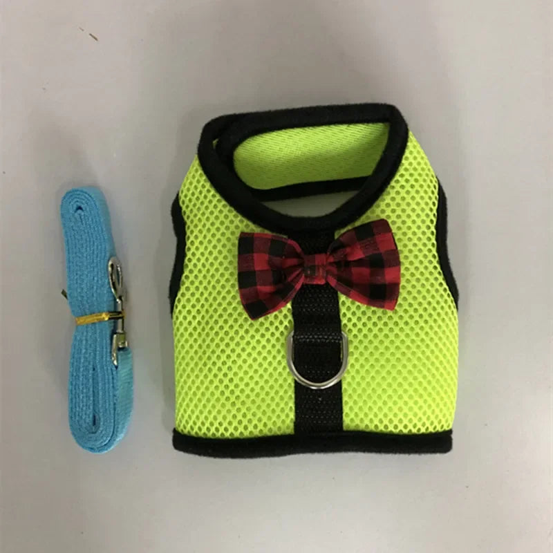 Small Animal Outdoor Walking Harness and Leash Set