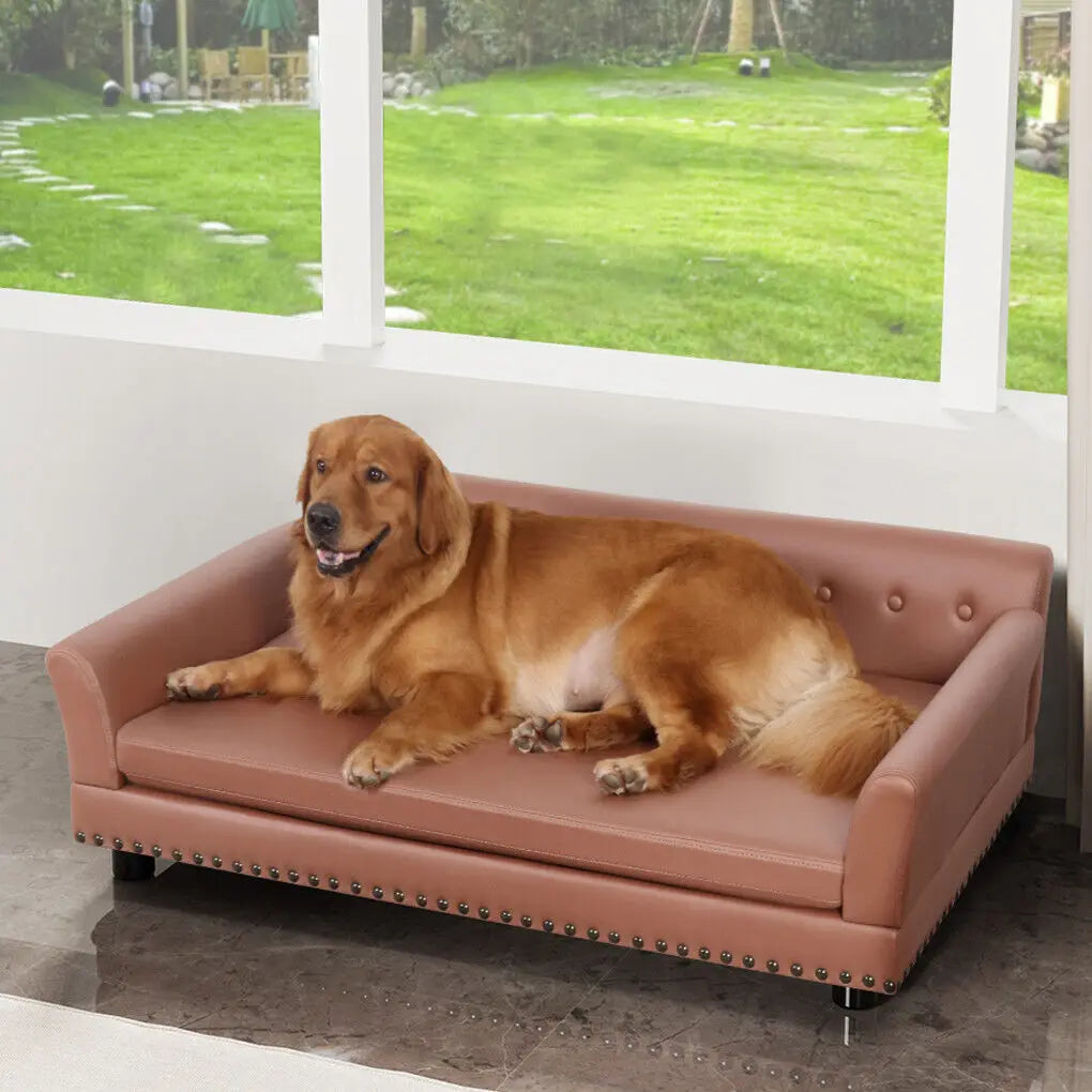L-XL Luxury Raised Dog Sofa Couch, Pet Bed Lounge