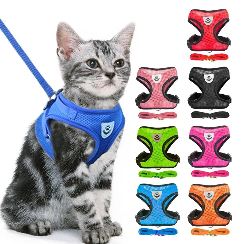 Cat Harness Vest with Walking Lead