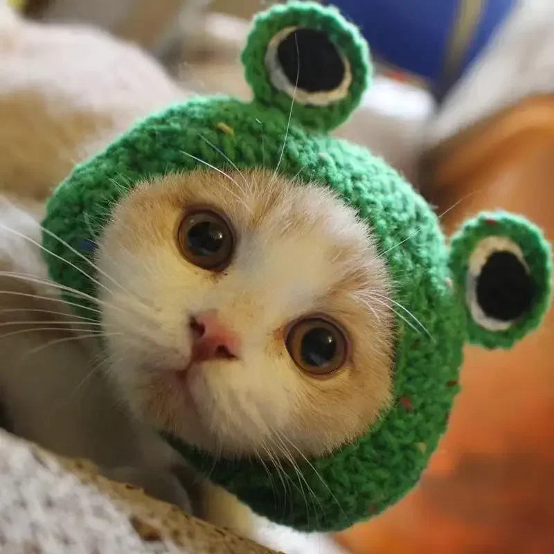 Cute Refined Knitted Cat Hat
