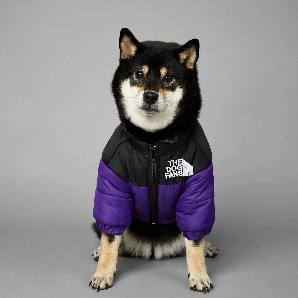 Winter Down Jacket for Small & Medium Dogs