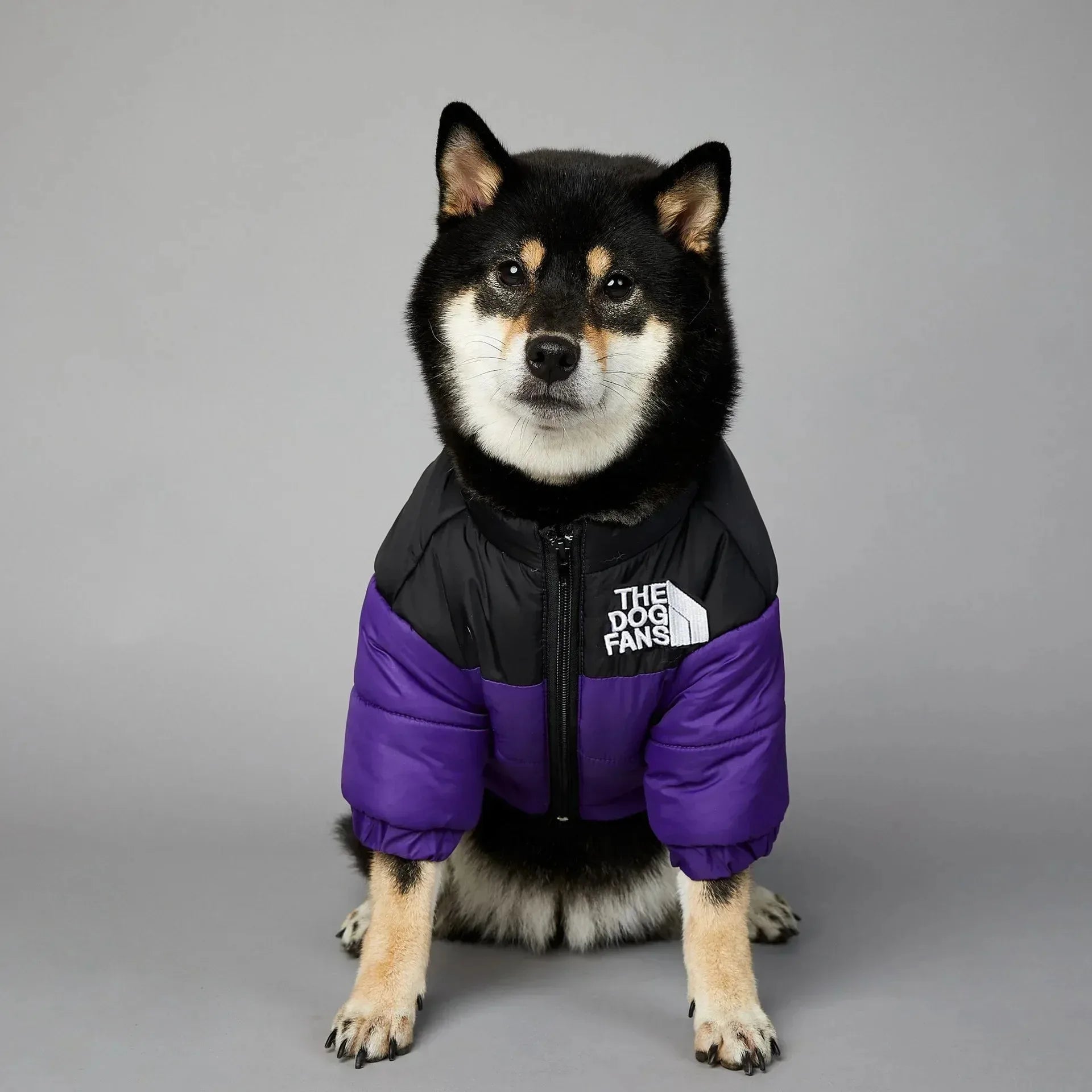 Winter Down Jacket for Small & Medium Dogs