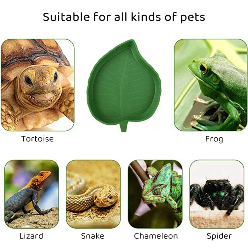 Leaf Shape Reptile Feeder or Water Bowl For Turtles, Lizards, Snakes, Tortoise, Gecko and other Reptiles