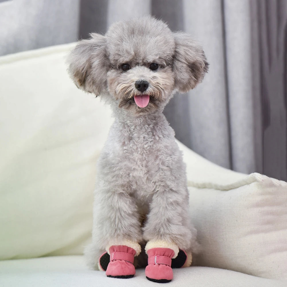 Boots for Small Medium Dogs or Cats
