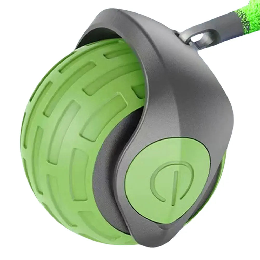 Cat Interactive Ball Toys that is Rechargeable and a Smart Cat Toy.