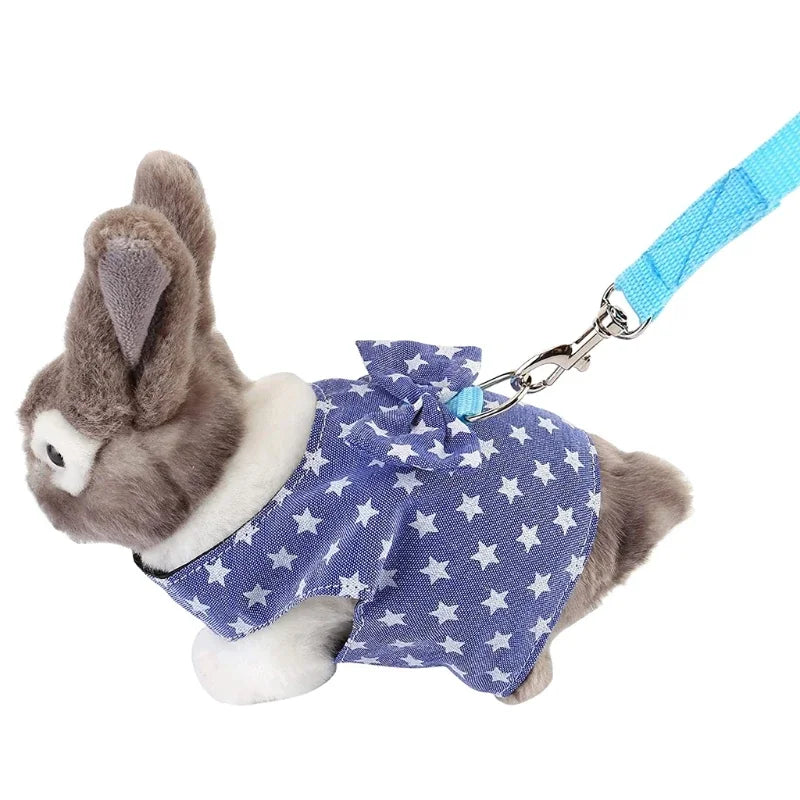 Small Animal Outdoor Walking Harness and Leash Set