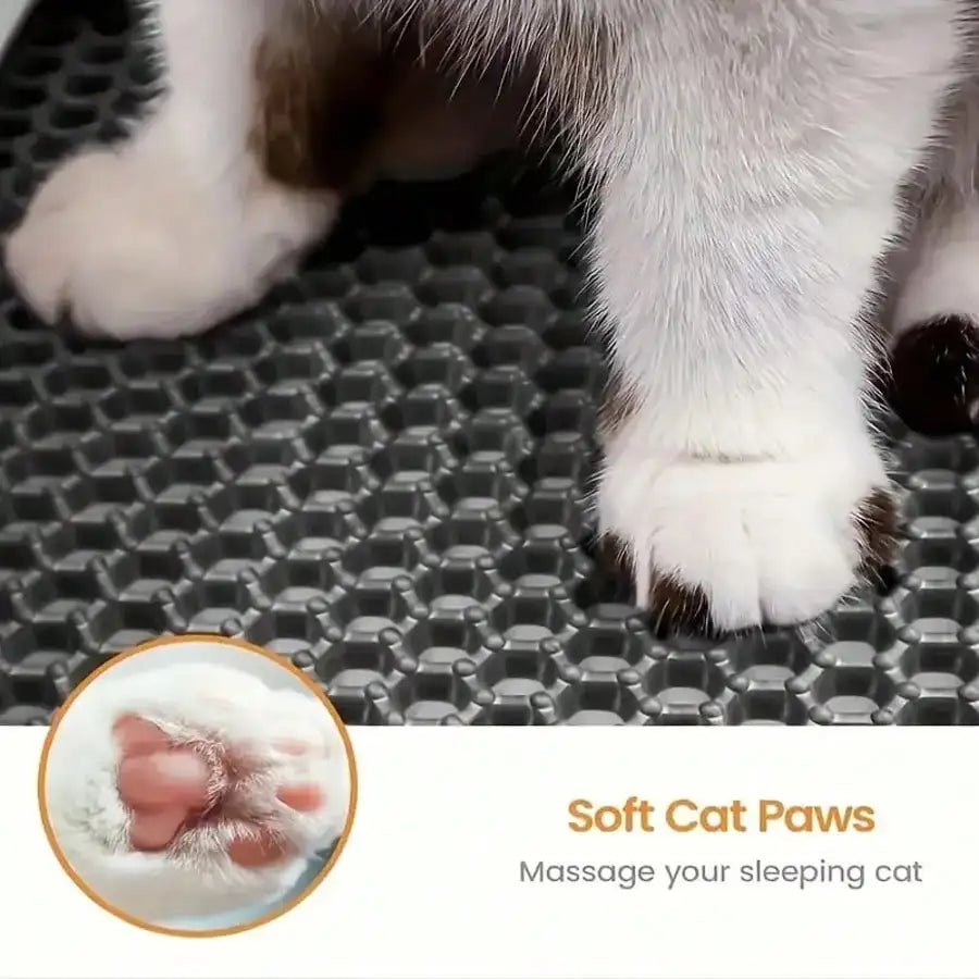 Extra-Large Double-Layer Washable EVA Cat Litter Mat