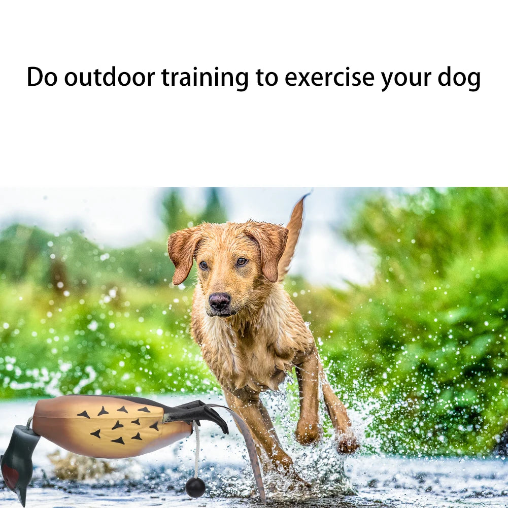 Pheasant Dummy Bumper Toy for Hunting Dog Training,