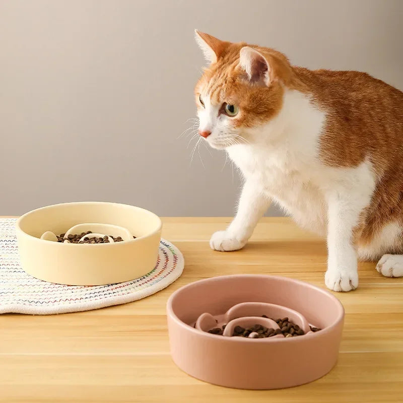 Ceramic Slow Feeding Cat Dog Bowl