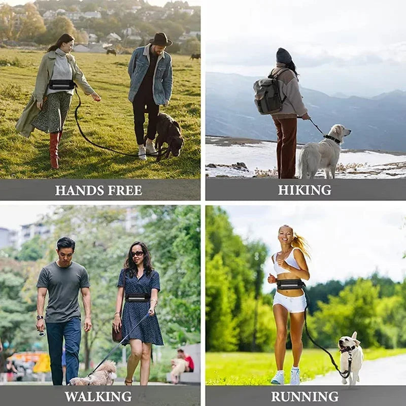 Hands Free Dog Leash for Running Walking. Reflective Leash with Waist Bag. Retractable Elastic Belt.