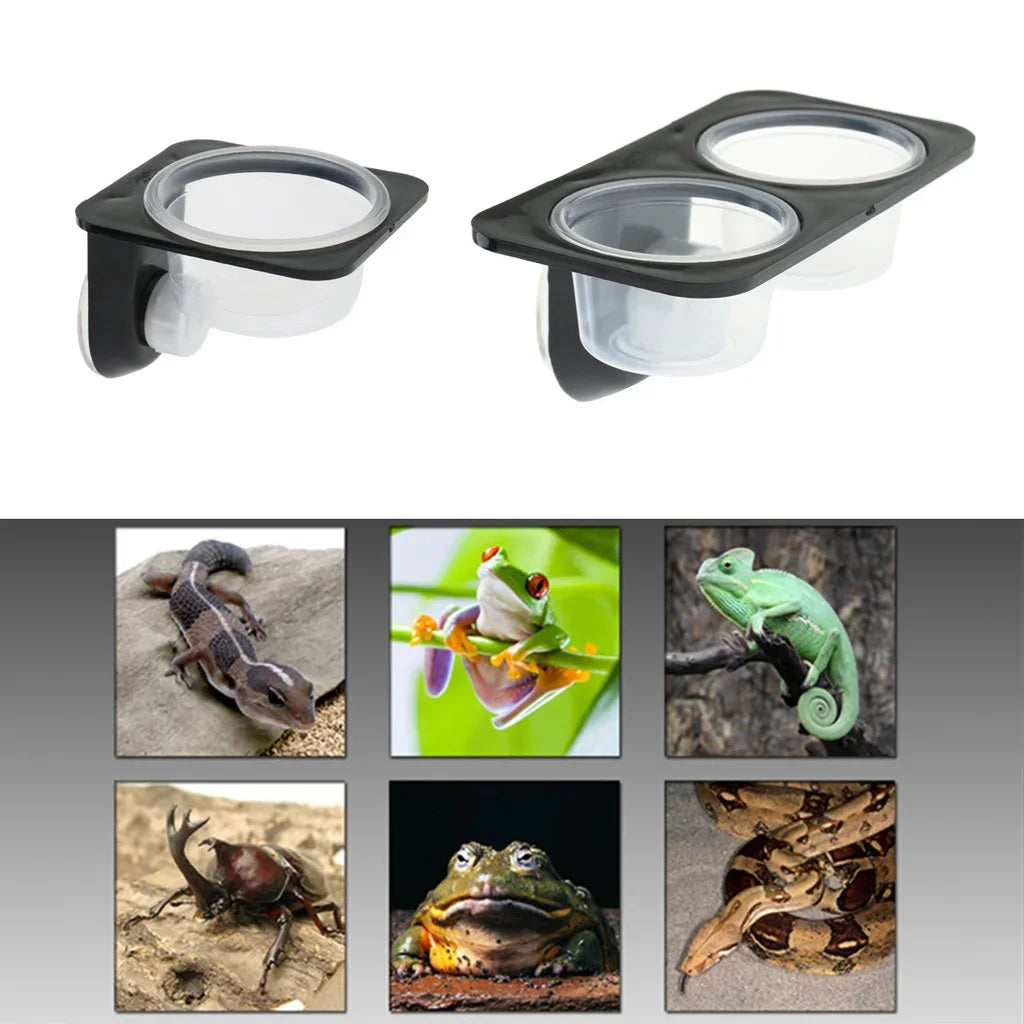 Reptiles & Amphibians Suction Cup Feed and Water Bowl